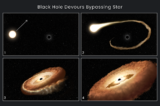 Bốn bước lỗ đen thực hiện để nuốt chửng một hằng tinh. Ảnh minh họa. (Ảnh: NASA, ESA, Leah Hustak (STScI))